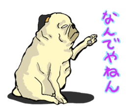 co-chan pug 2 sticker #10194535