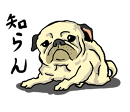 co-chan pug 2 sticker #10194538