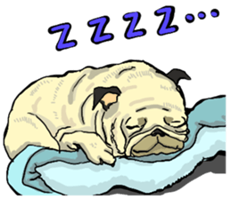 co-chan pug 2 sticker #10194539