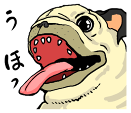 co-chan pug 2 sticker #10194544