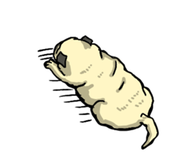 co-chan pug 2 sticker #10194545