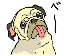 co-chan pug 2 sticker #10194546