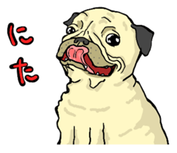 co-chan pug 2 sticker #10194549