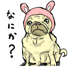 co-chan pug 2 sticker #10194551