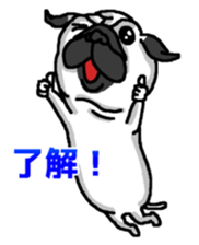 Pug puppy sticker #10194834