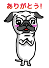 Pug puppy sticker #10194836