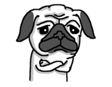 Pug puppy sticker #10194844