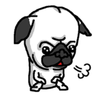 Pug puppy sticker #10194848