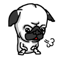 Pug puppy sticker #10194848