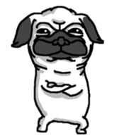 Pug puppy sticker #10194849