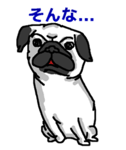 Pug puppy sticker #10194850