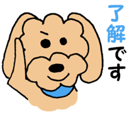I'm a toy poodle. sticker #10197439