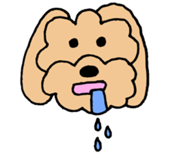 I'm a toy poodle. sticker #10197460