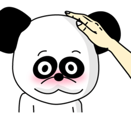 1/3 naive panda4 sticker #10198050
