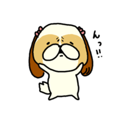 Shih Tzu 4 sticker #10199256