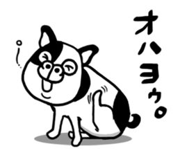 cowdog sticker #10200766