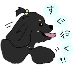 American cocker tan sticker #10201537