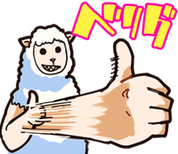 A sheep Man sticker #10202392