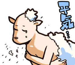 A sheep Man sticker #10202421
