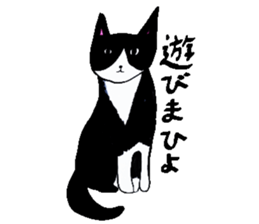 Clumsy but pretty cat sticker #10204712