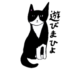 Clumsy but pretty cat sticker #10204712