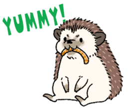 "TAWASHI" the hedgehog & family(Engrish) sticker #10206153