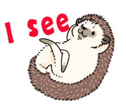 "TAWASHI" the hedgehog & family(Engrish) sticker #10206165