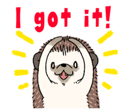 "TAWASHI" the hedgehog & family(Engrish) sticker #10206166