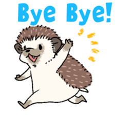 "TAWASHI" the hedgehog & family(Engrish) sticker #10206173