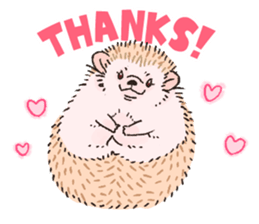"TAWASHI" the hedgehog & family(Engrish) sticker #10206174