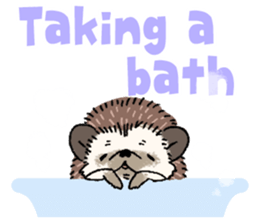 "TAWASHI" the hedgehog & family(Engrish) sticker #10206178