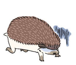 "TAWASHI" the hedgehog & family(Engrish) sticker #10206183
