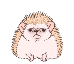 "TAWASHI" the hedgehog & family(Engrish) sticker #10206190