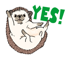 "TAWASHI" the hedgehog & family(Engrish) sticker #10206191