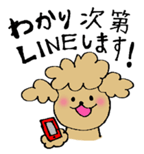 Honorific sticker of the poodle. sticker #10207194