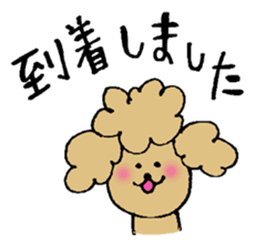 Honorific sticker of the poodle. sticker #10207216