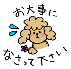 Honorific sticker of the poodle. sticker #10207231
