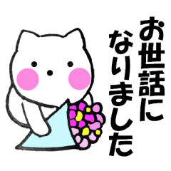 Sometimes honorific to cat