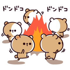 Busy bear !