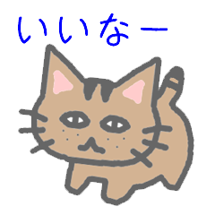 brown tabby cat