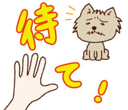 SMILIE PACKS sticker #10214109