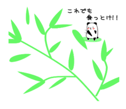 Sticker of an interesting panda sticker #10214899