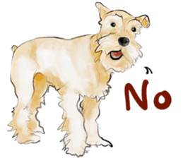 Our M.Schnauzers - White sticker #10218034