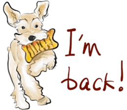 Our M.Schnauzers - White sticker #10218062