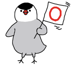 Java sparrow with pink bird part.2 sticker #10218275