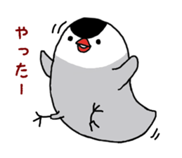 Java sparrow with pink bird part.2 sticker #10218277
