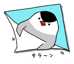 Java sparrow with pink bird part.2 sticker #10218289