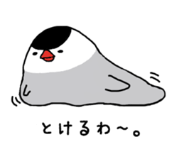 Java sparrow with pink bird part.2 sticker #10218291