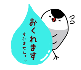 Java sparrow with pink bird part.2 sticker #10218292