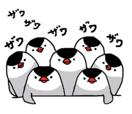 Java sparrow with pink bird part.2 sticker #10218293